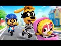 Sports Challenge | Funny Stories | Safety Rules for Kids | Police Cartoon | Sheriff Labrador
