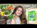 WHAT SHOULD YOU FEED YOUR BIRD? | My Parrots’ Complete Diet