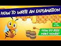 How to Write an Explanation | All-Star Level | Writestyler