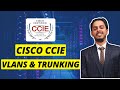CCIE EI: Understanding VLANs and Trunking