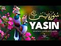 Surah Yasin (Yaseen) سورة يس | Heart Touching \u0026 Relaxing Quran Recitation | Most Beautiful Voice