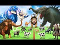 5 Giant Elephant Cow Vs Giant Angry Indian Elephant Vs 5 Giant Lion Tiger Saved By Wolly Mammoth