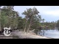 Sinkhole in Louisiana Swallows Trees - Caught on Tape 2013 | The New York Times