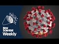 Why some people never get covid-19 | New Scientist Weekly podcast 255