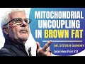 Mitochondrial Uncoupling In Brown Fat | Dr Steven Gundry Ep 7