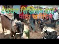 Deoghar रिखिया हाट
