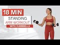 18 min STANDING ARM WORKOUT | With Dumbbells | Upper Body | No Pushups