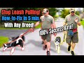 STOP Leash Pulling with ANY BREED Right NOW!  SO EASY!