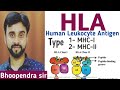 #HLA# Human Leukocyte system Human Health and disease