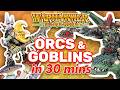 How ORCS \u0026 GOBLINS work - A Warhammer: The Old World Army Guide