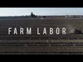 Farm Labor Crisis - American Grown: My Job Depends On Ag