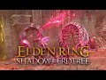 ELDEN RING DLC | Romina, Saint of the Bud [RL1 No Hit, 0 Scadutree Blessing]