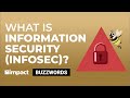 What Is Information Security (InfoSec)? | Buzzwords