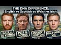 English, Scottish, Welsh, Irish: What DNA Actually Separates Them?