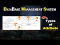 Lecture 10 | Attributes and its Types | DBMS | Sujal Mane