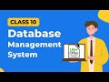 Database Management System Class 10 LibreOffice | DBMS Class 10 IT Using LibreOffice Base