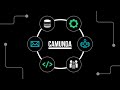 Camunda - The Universal Process Orchestrator