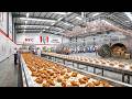 How KFC Chicken Is Made In Factory \u0026 Restaurant