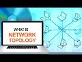 What is a Network Topology, Computer \u0026 Networking Basics for Beginners | Computer Technology Course