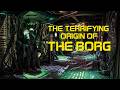 The Terrifying Origin of The Borg | Star Trek Destiny