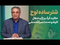شتر ساده لوح | حکایتی از کلیله و دمنه