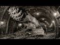 The Coal Machine That Slowly Murdered 75,000 Men And Powered Industrial America