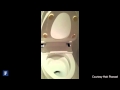 Here's What It Looks Like When A 'Smart Toilet' Gets Hacked | Forbes