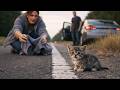 We Found a Tiny Kitten by the Highway—And He Changed Our Lives