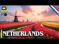 NETHERLANDS: The Country That Shouldn’t Exist | 4K Travel Documentary