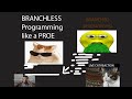 What is Branchless Programming? How to do it like a proe!