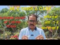 #Bank #pension #updation #case #mcsingla #supreme #court #hearing #today #latest #update #retirees 