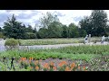 Top ten Attractions at Kew Gardens-in just two minutes