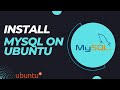 How to install MySQL \u0026 PHPmyadmin on Ubuntu 22.04 LTS | Tech With Tea