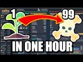 Hardcore Adventure Speedrun | Supercut | Melvor Idle