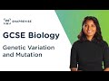 Genetic Variation and Mutation | 9-1 GCSE Science Biology | OCR, AQA, Edexcel