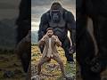 Man vs Giant Gorilla – Impossible Fight… But He Won! 😱🔥#ManVsGorilla #EpicBattle #GiantGorilla