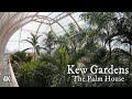 Kew Gardens - The Palm House (4K) Virtual Tour