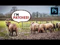 The Patch Tool: Does More than You Think | Complete Photoshop Guide