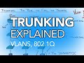 What is Trunking in Networking?