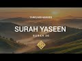 Surah Yaseen | Surah 36 | Recitation by Tariq Mohammed with Clear English Translation