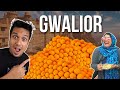 24 HOURS IN GWALIOR 🤤 BEST STREET FOOD YOU MUST TRY!
