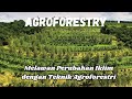 Getting to Know Agroforestry: A Smart, Environmentally Friendly Farming Solution #agriculture #fa...