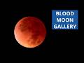 Spectacular Total Lunar Eclipse Images From March 3, 2026