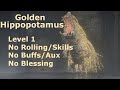 Golden Hippopotamus RL1 No Roll/Block/Skills No Buffs/Aux/Blessing No Damage