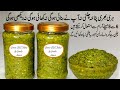 Chatpat Hari Chatni | Hari Mirch Pudina Lahsun Chatni | Chili Garlic Mint Sauce | Chutney | Chatni