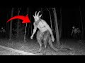 Trail Camera Captured Creatures What No One Was Supposed to SEE!