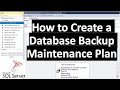 Create Maintenance Plan for Backup || Automating and scheduling backups || Ms SQL