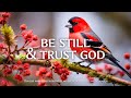 Be Still \u0026 Trust God : Instrumental Worship and Scriptures with Birds 🕊 Christian Instrumental