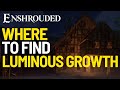 Where to Find Luminous Growth in Enshrouded