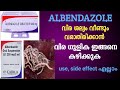 ഒറ്റ ഡോസിൽ വിര ശല്യം മാറ്റം | albendazole proper use | worm infection